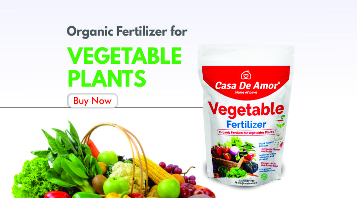 Vegetable Fertilizer